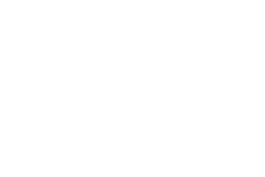 logo_austromed