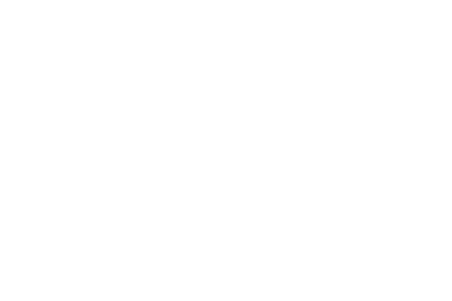 logo_austrowaren