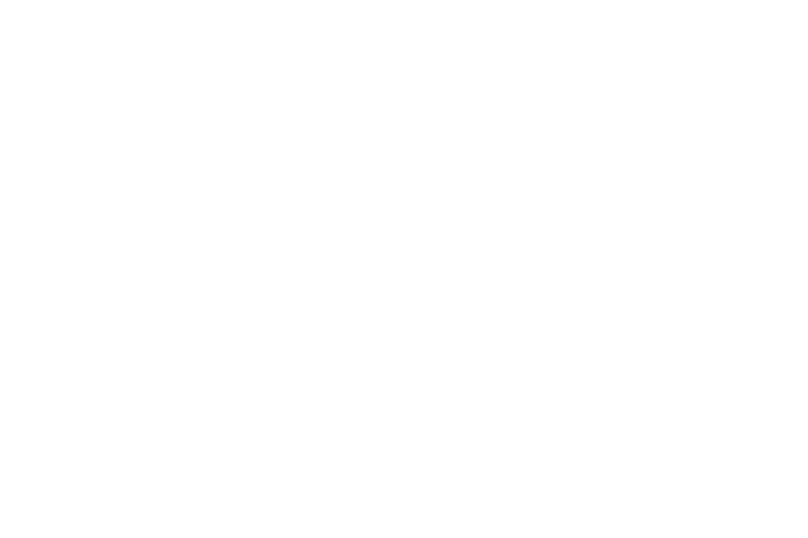 logo_checkpoint