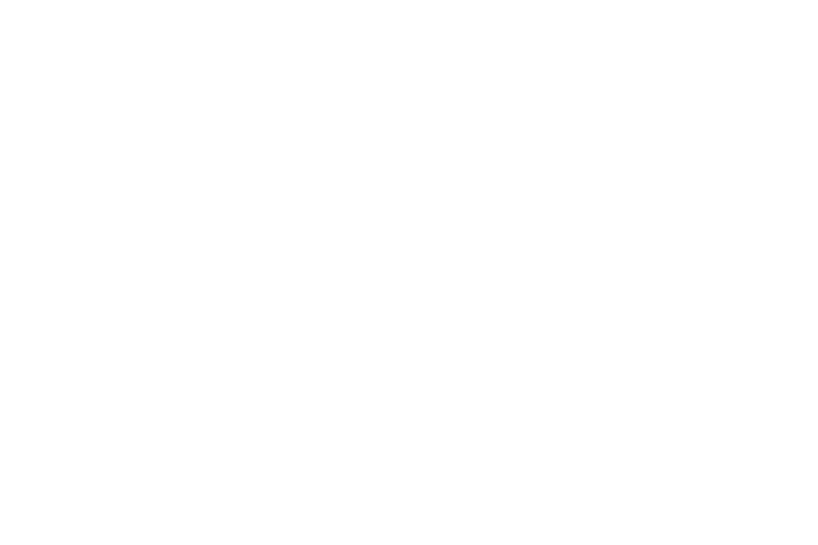 logo_ewmd