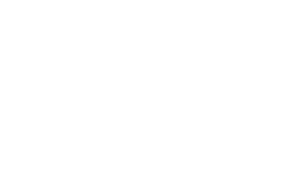 logo_lebenshilfe