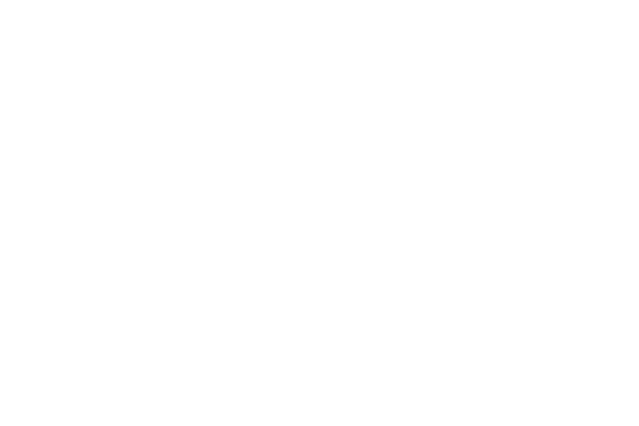 logo_stepstone