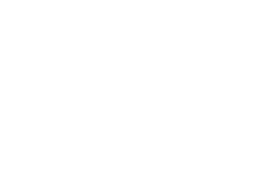 logo_traeumer