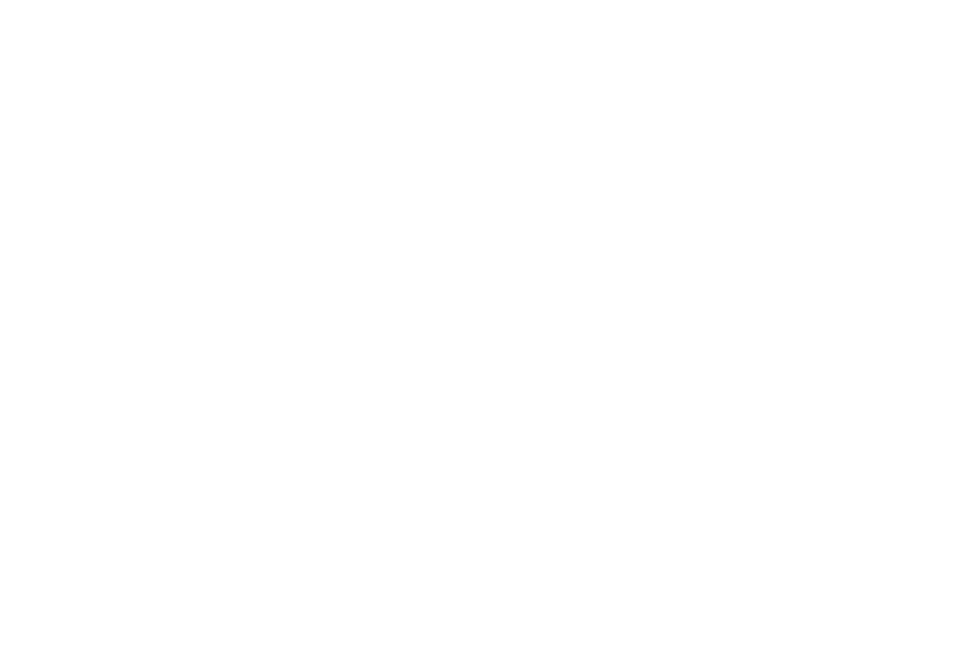 logo_weiss_badschoenau