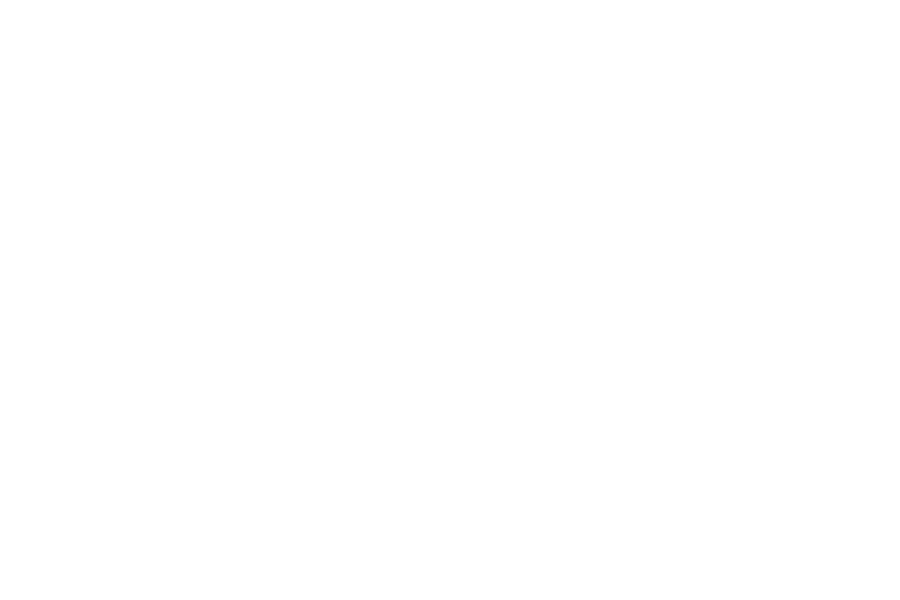 logo_weiss_bbsweyer