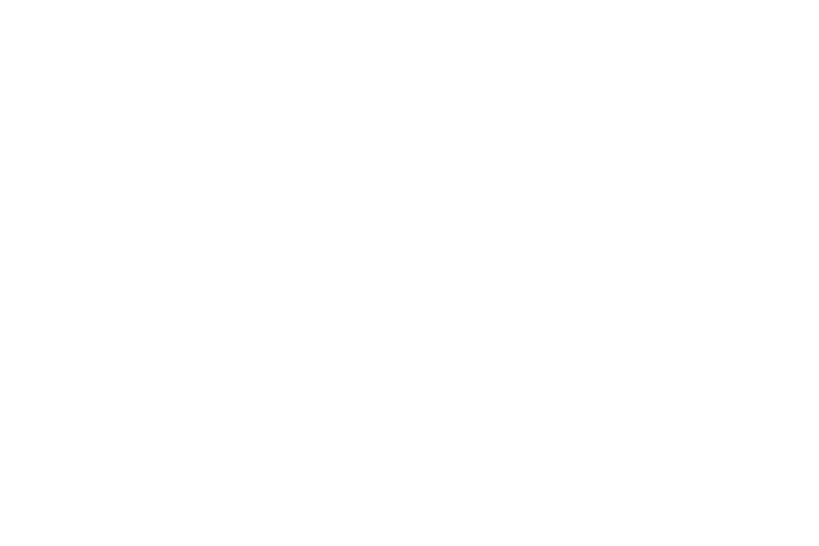 logo_weiss_gemeindegrossraming