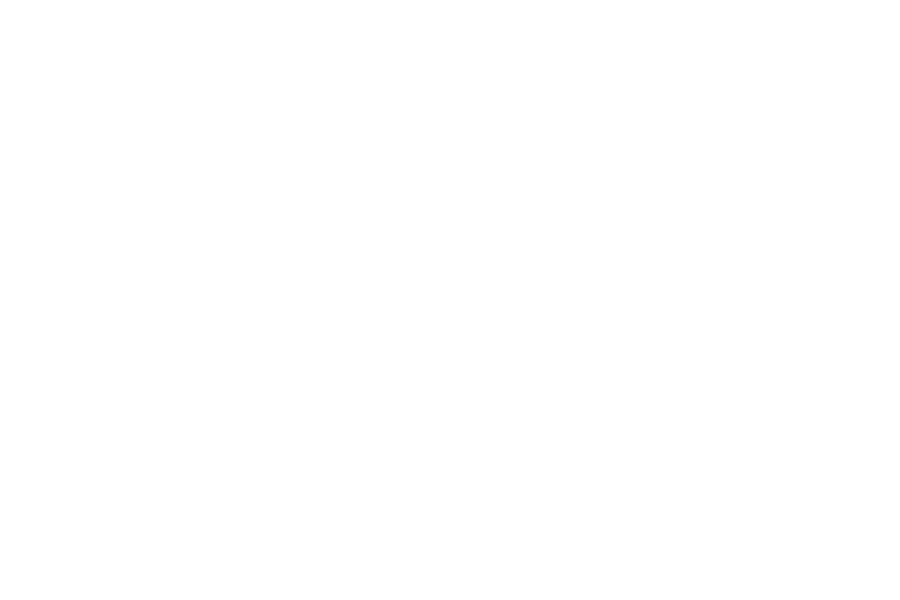 logo_weiss_hundertwasser