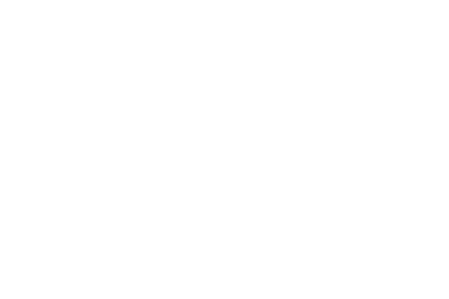 logo_weiss_mpa