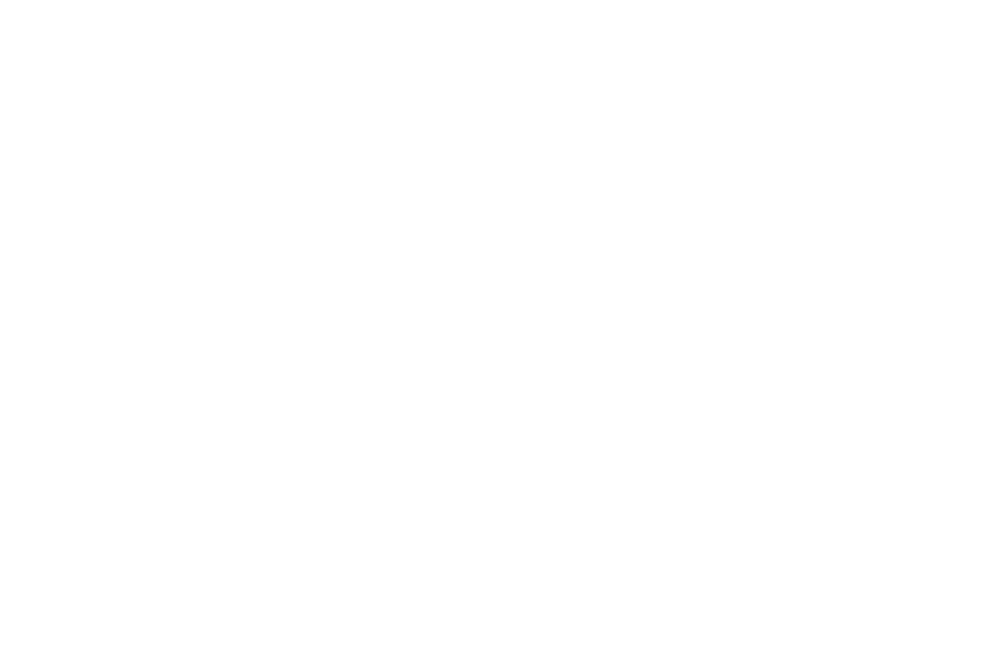 logo_weiss_nuwandas