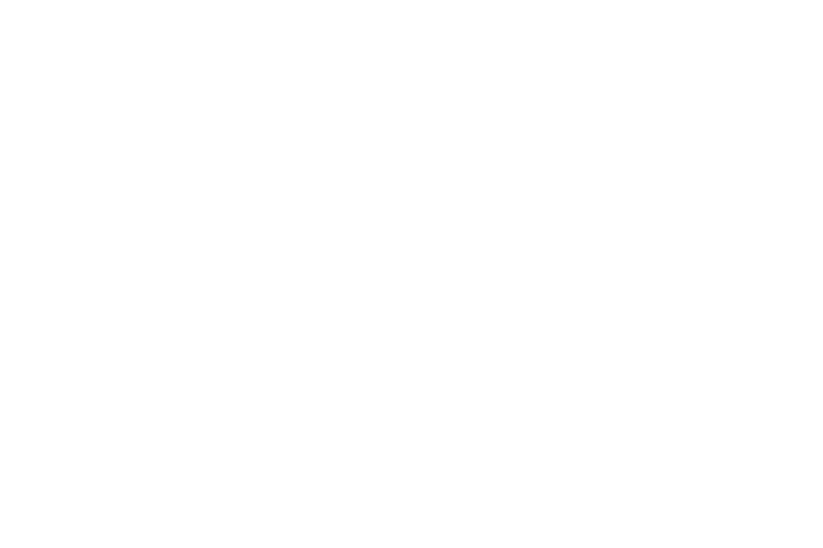 logo_zauberladen